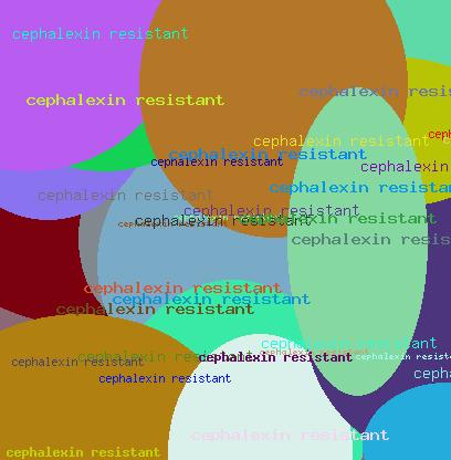 CEPHALEXIN RESISTANT